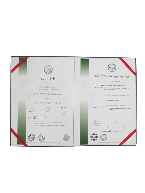 ISO/TS 169...